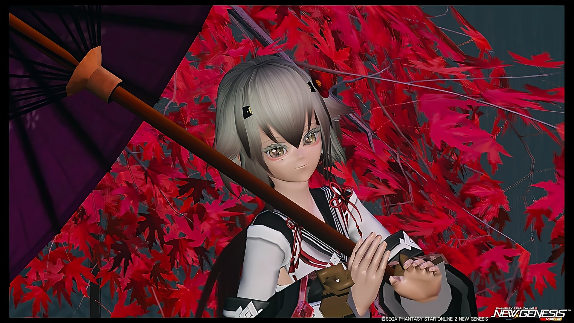 チームメンバー :: PSO2 NGS チーム モルガナイト Ship5